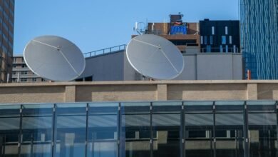 telecommunication fraud oversight council